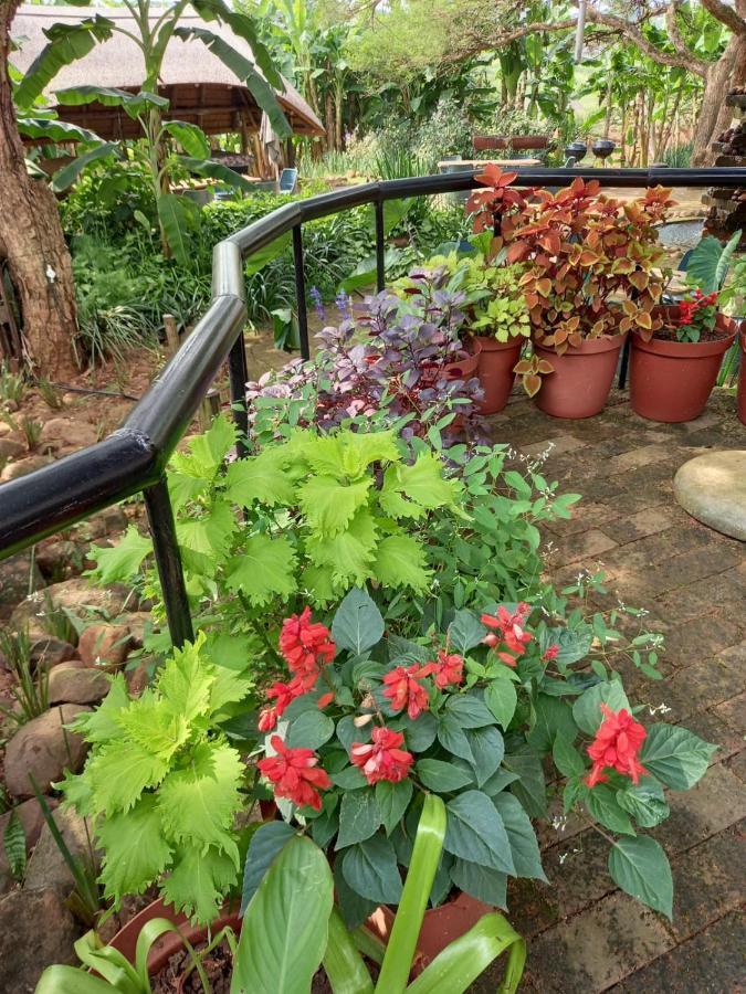 Ascot Bush Lodge Pietermaritzburg Esterno foto