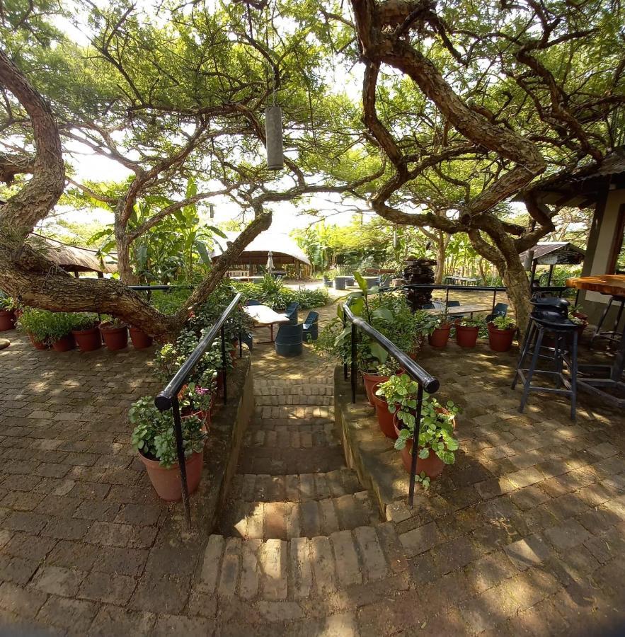 Ascot Bush Lodge Pietermaritzburg Esterno foto