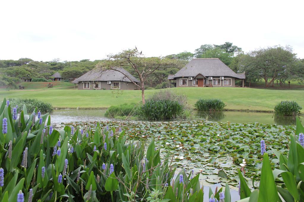 Ascot Bush Lodge Pietermaritzburg Esterno foto